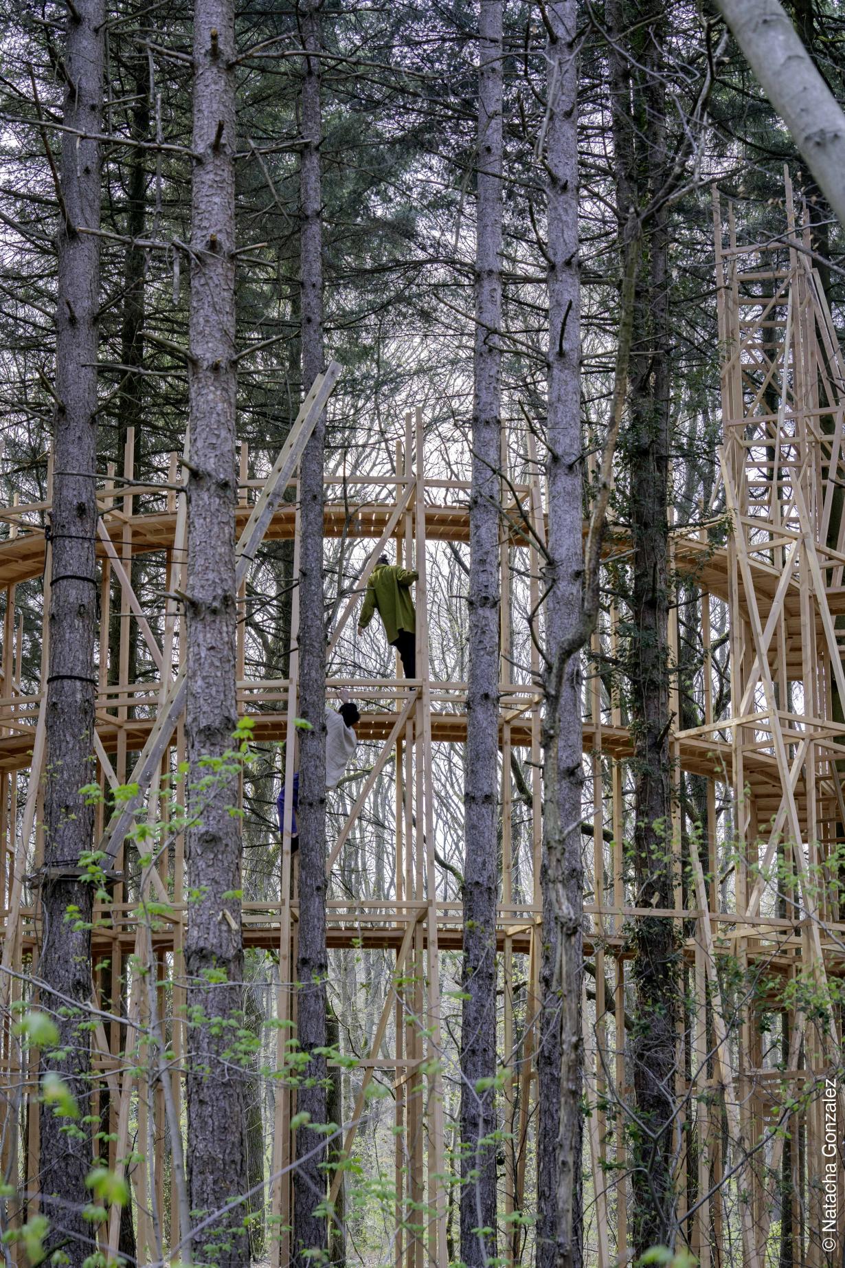 Jeanne Stuart, forêt régionale de Bondy © Natacha Gonzalez