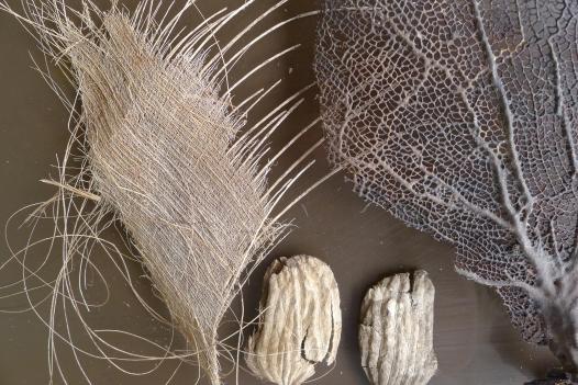 Tissu d'écorce de palmier, noyaux de mangue séchés et  corail