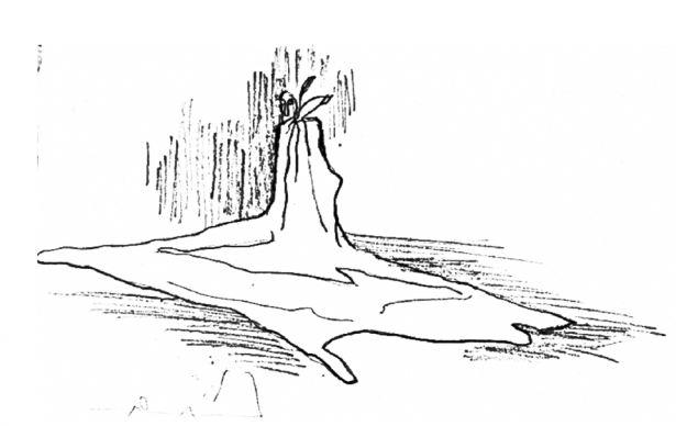 dessin de la nappe utilisée pour le spectacle 