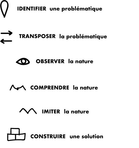 Les étapes d'une pratique du design biomimétique