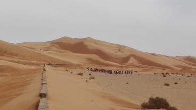 Sortie des classes dans le Sahara Algérien
