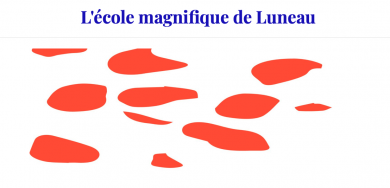 Visitez le site www.ecolemagnifiquedeluneau.fr