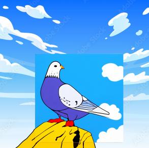 Les pigeons de ville sont pour la plupart des pigeons bisets, (90 % à Paris) les autres espèces étant le Pigeon ramier (9 %) et le Pigeon colombin (1 %)
